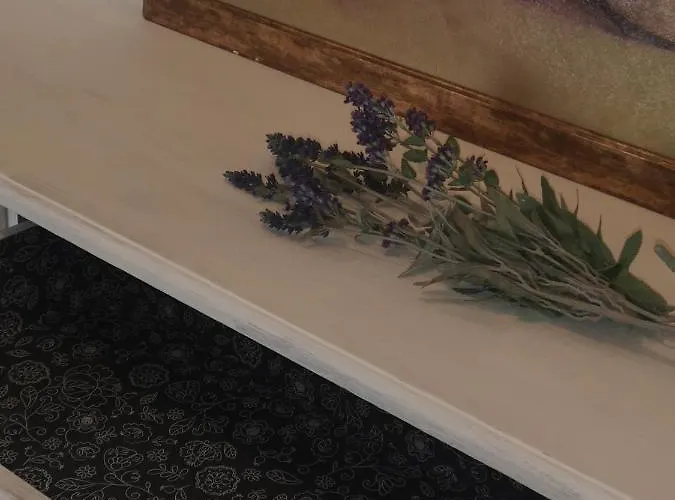 Residencial Valle De דירה *